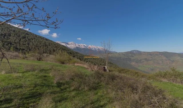 Gran finca con casa a rehabilitar — 11