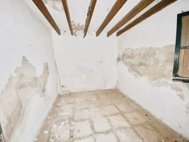 Finca rústica con caseta y 6000m2 para tus proyectos de campo — 14