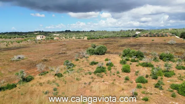 Terreno rústico en venta en Ses Salines - foto 3