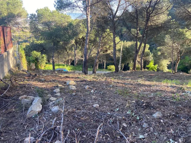 EXCLUSIVA PARCELA CON VISTAS EN CA LALEGRE – VILANOVA DEL VA - foto 3