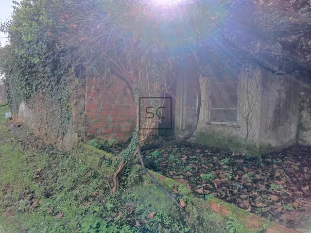 FINCA EDIFICABLE CAMPOLONGO-PONTEDEUME — 5