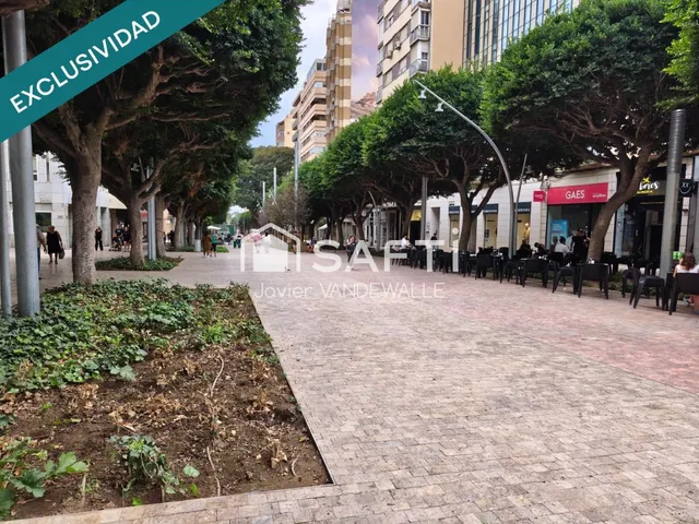 Oficina, en pleno centro, en el paseo de almeria — 14