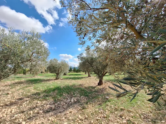 ¡Parcela edificable de 16.964 m2, vallada, con camino perime