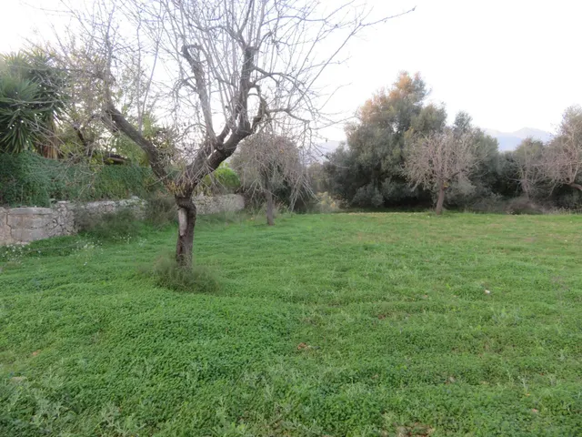 Finca rústica en venta en Selva — 6
