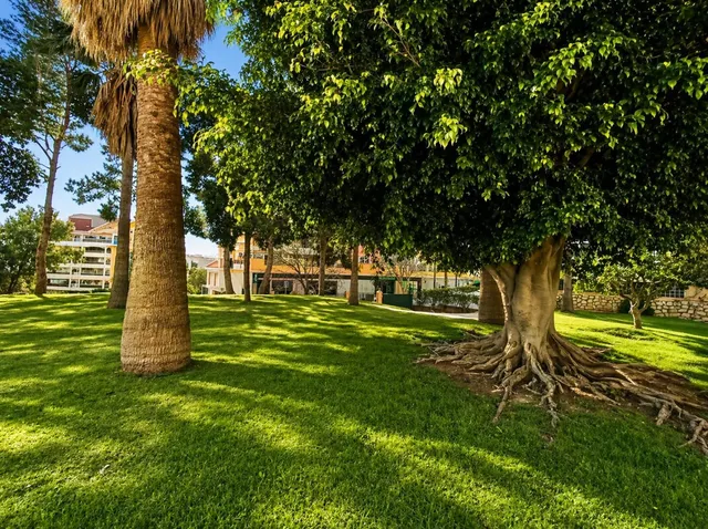 Estudio 33m² en venta - Centro — 20
