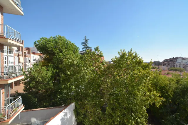 Luminosidad, tranquilidad y vistas despejadas en el barrio de Salamanca — 33