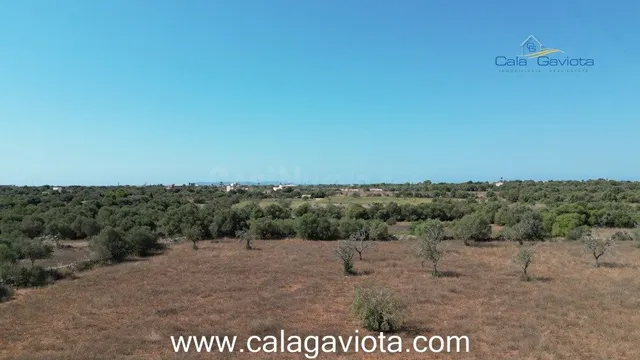 Terreno de 17.000 m2 con bonitas vistas - foto 2