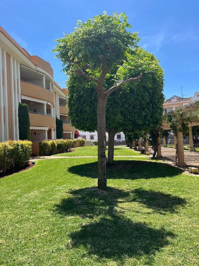 Apartamento en excelente estado cerca de la playa — 26