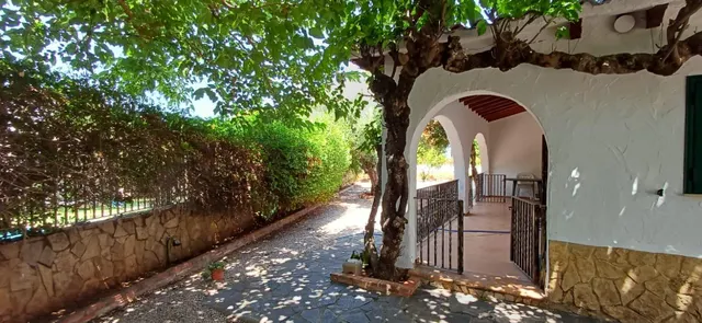 Alquiler anual  Chalet en zona Santa Lucía, con amplia parcela y todas las comodidades — 36