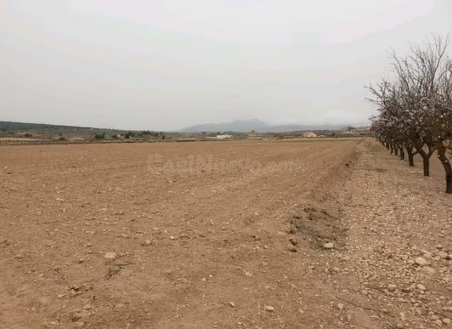 Parcela 840m² en venta - Comunidad valenciana