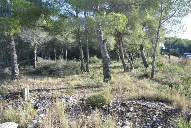 Parcela Rústica en el municipio de Cubelles, 5.560 mts2 Corral d'en Cona — 22