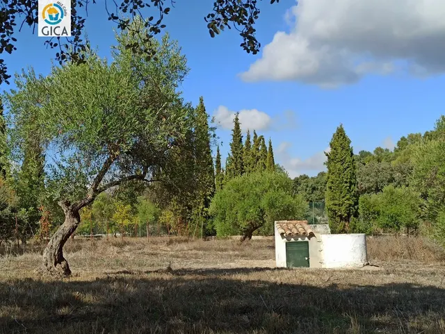 CASA CON PARCELA  EN LA SIERRA DE CADIZ -EL BOSQUE — 18