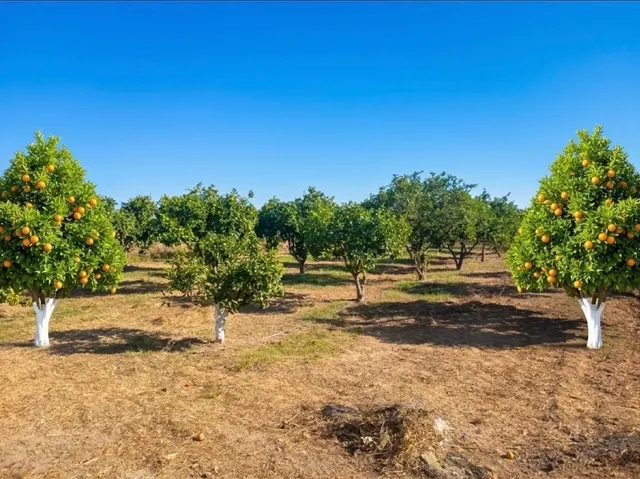 En venta casa de campo de 135 m2 — 21