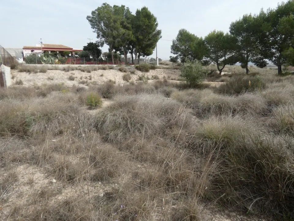++Terreno urbanizable en Molina de Segura zona El Pino++, 1250 m