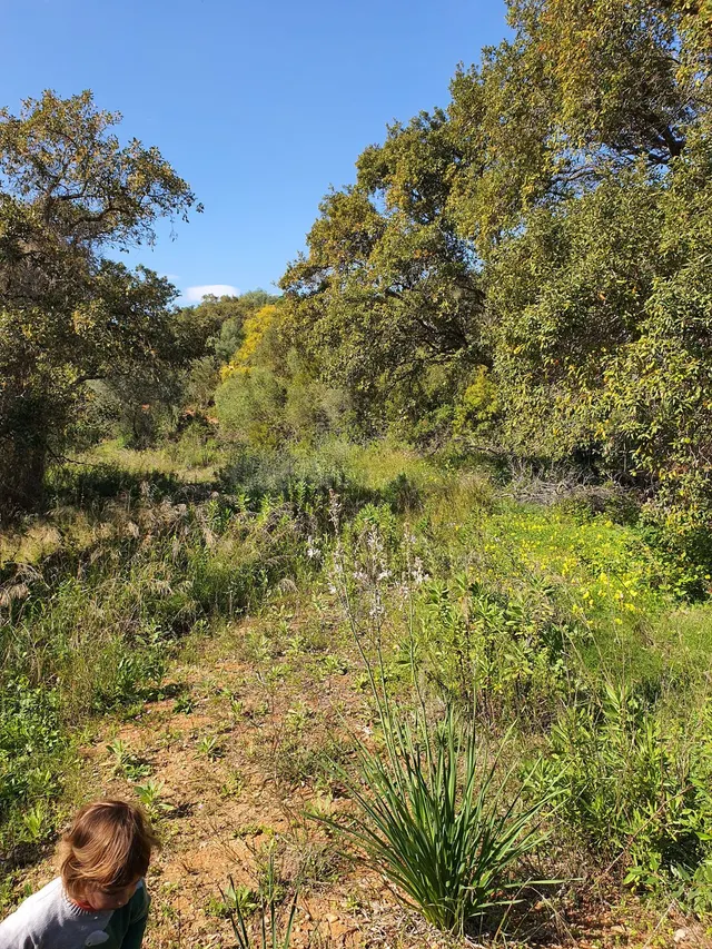 Parcela en venta - Valderrama - foto 3