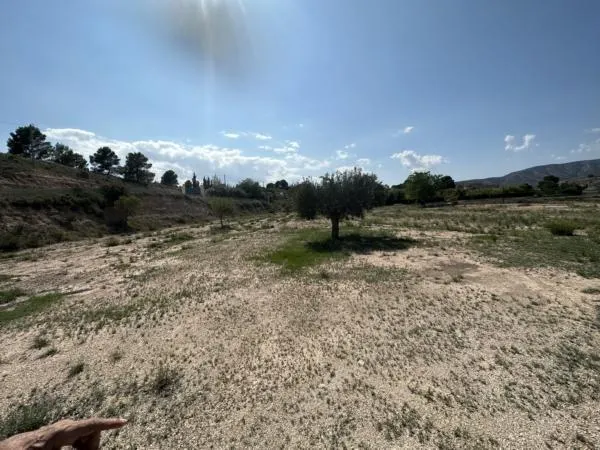 Parcela de terreno Rural cercana al casco urbano — 12