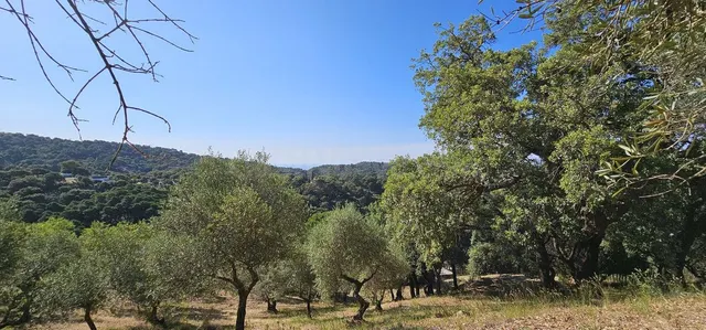 Parcela 120m² en venta - Costa Del Sol - foto 3