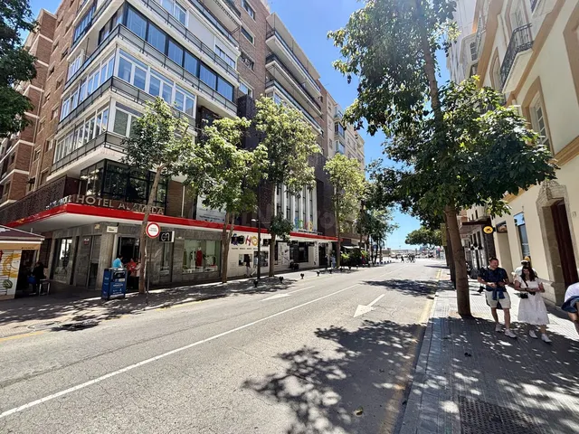 Apartamento 9 habitaciones 313m² en venta - Ensanche del Centro-Puerto — 2