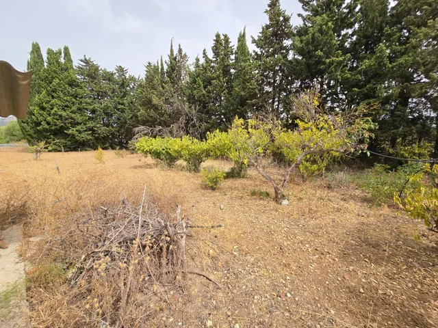 Finca Rústica en Búger con Piscina y Pozo de Vena por €320.0 - foto 4