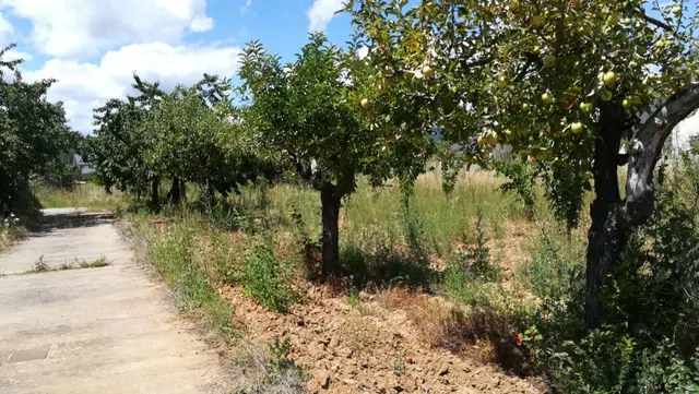 Terreno Urbano en Cacabelos — 5