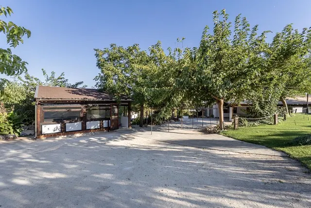**NEGOCIO CONSOLIDADO DE EVENTOS Y ALOJAMIENTO TURÍSTICO EN UNA ESPECTACULAR FINCA ANDALUZA CERCA DE GRANADA** — 38