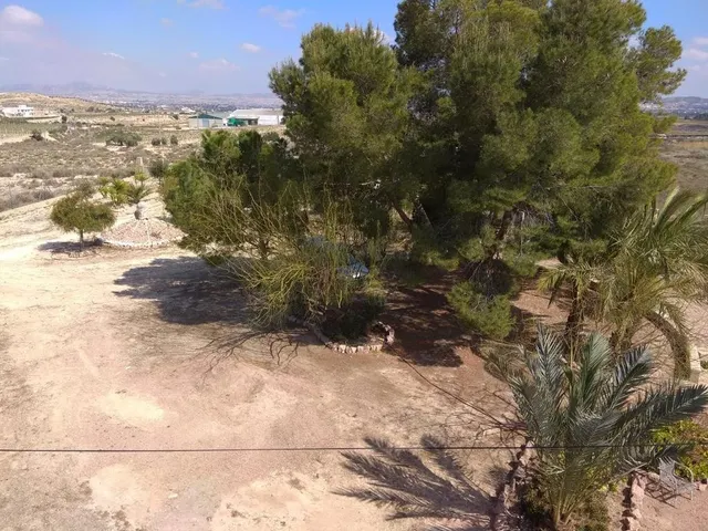 Chalet en venta en Horna Alta, Novelda — 14