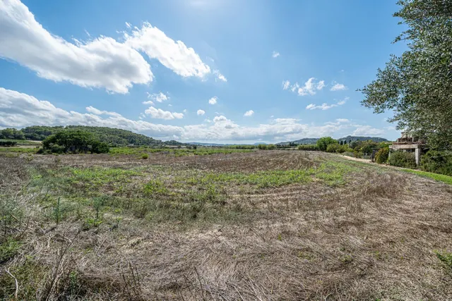 ALQUILER CON OPCION DE COMPRA PARCELA RÚSTICA AGRARIA - foto 3