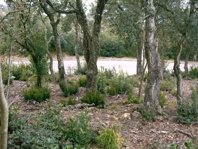 Parcela urbanizable en la Urbanización Mas Nou de Platja d'A - foto 3