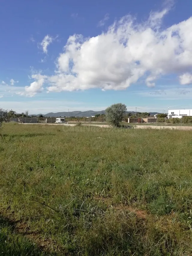 Parcela rústica con pozo propio entre Peñíscola y Benicarló 