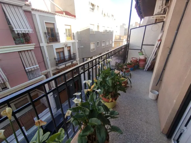 SECTOR 5º - PLAZA CREVILLENTE — 19