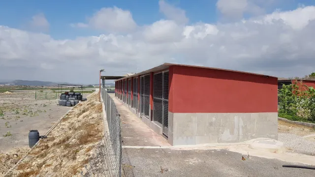 Finca rústica 2 habitaciones 253m² en venta - Comunidad valenciana — 14