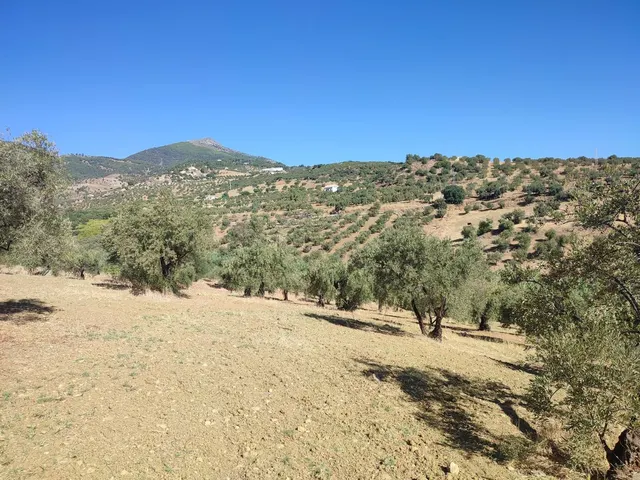 Parcela en venta - South of spain — 11