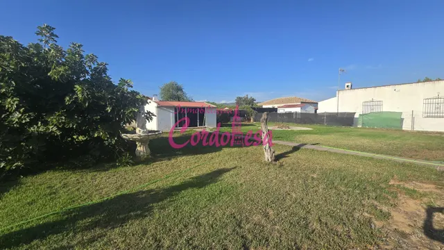 Oportunidad de Casa con Terreno en Villarrubia, Córdoba — 17