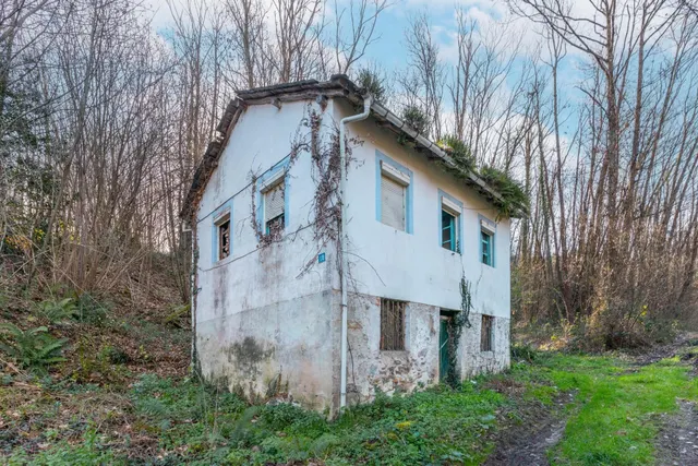 Oportunidad real: casa con parcela para rehabilitar en Tineo — 7