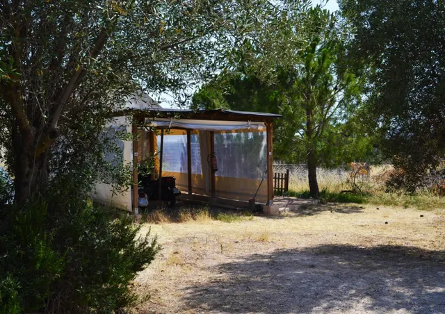 Casa tipica mallorquina en el secar de la real con 13.900 m2 posibilidad de segregar solar urbano — 15