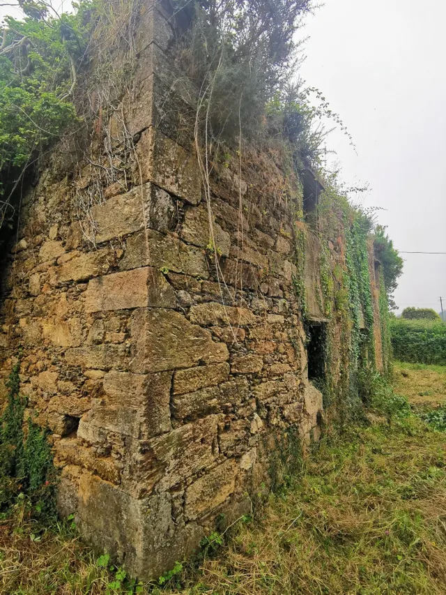 Casa para restaurar con 3000 metros de terreno - foto 4