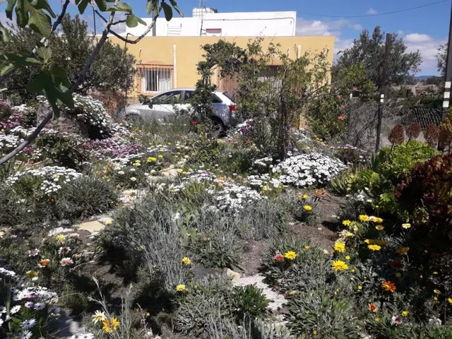 Casa rural en Tabernas (almeria) — 14