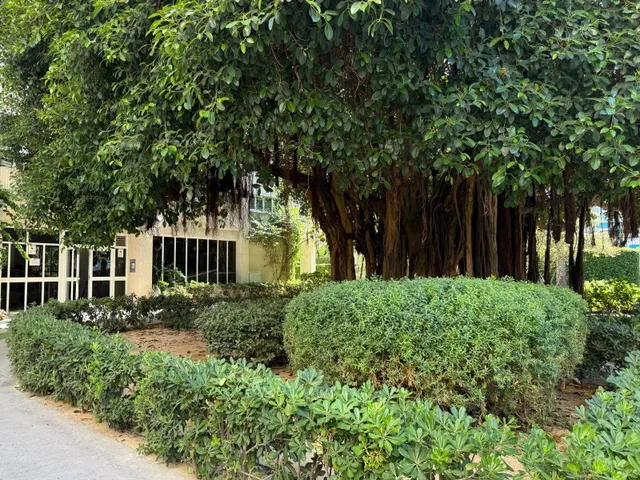 Vivienda  a dos calles del mar! — 31