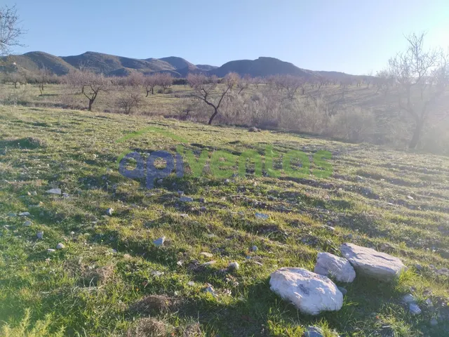 Casa de piedra con 61 hectáreas de terreno — 16