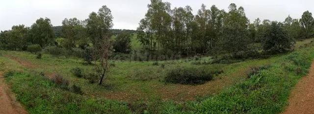Bonita parcela en Cerro Arropéz 3.400 m2