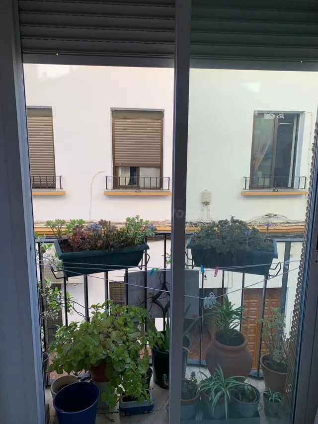 PISO TOTALMENTE REFORMADO EN MARRUBIAL - foto 3