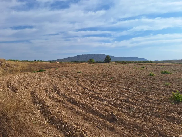 ¡Parcela edificable de 16964 m2, vallada, con agua de riego y muy buen acceso, a solo 5 minutos de Pinoso! — 16
