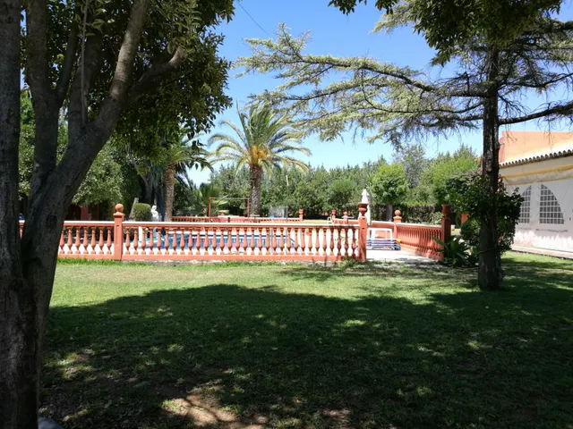 Magnifico Chalet con parcela de mas de 4.283m2 — 8