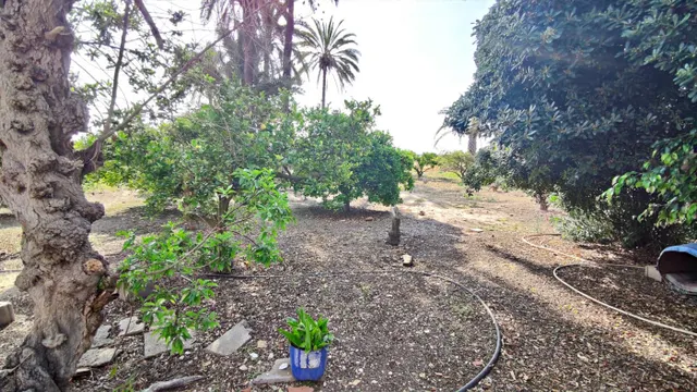 SE VENDE CASA DE CAMPO CON 42.000 M2 DE PARCELA. — 7