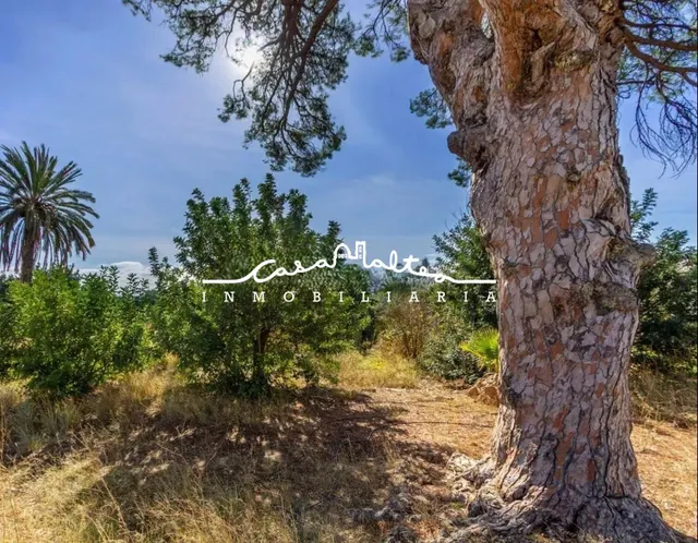 TERRENO EN VENTA EN ALTEA , EL PÍ DEL SENYORET - foto 4