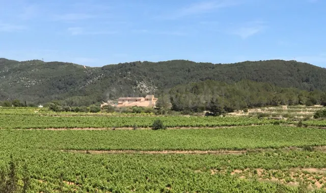 Finca rústica con dos casas a cinco minutos de Sitges. - foto 3