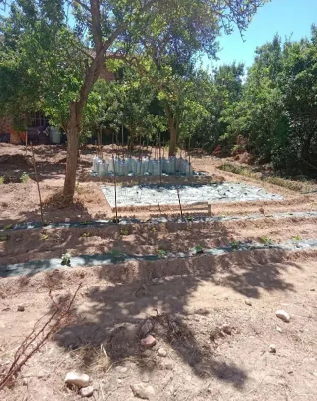Finca rústica 252m² en venta - Northern spain - foto 3