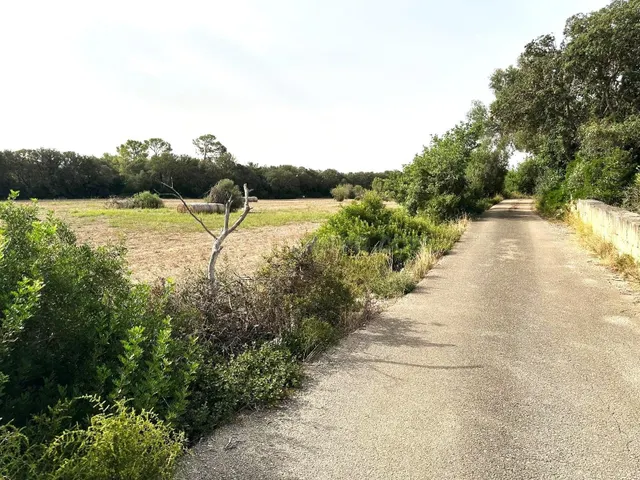 TERRENO RÚSTICO EN SINEU DE 21.300 M2 CON PROYECTO APROBADO  - foto 3