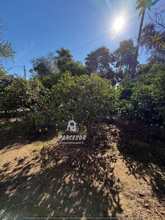 Chalet Independiente con piscina, en la zona de Alcolea. — 21
