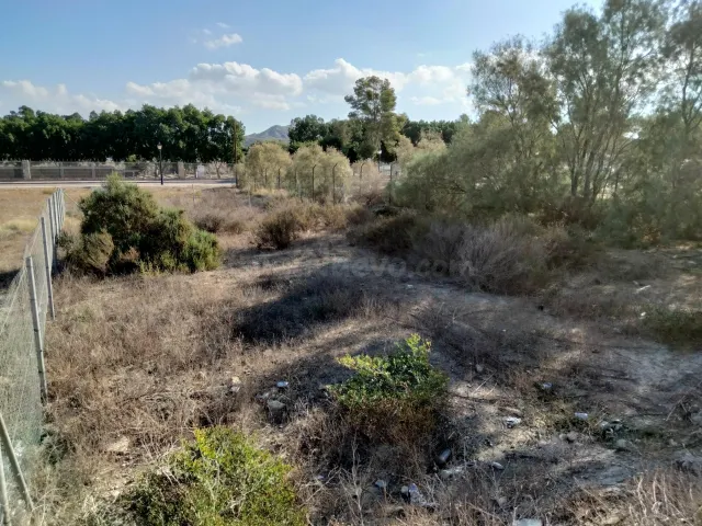 PARCELA URBANIZBLE EN CUEVAS DEL ALMANZORA - foto 4